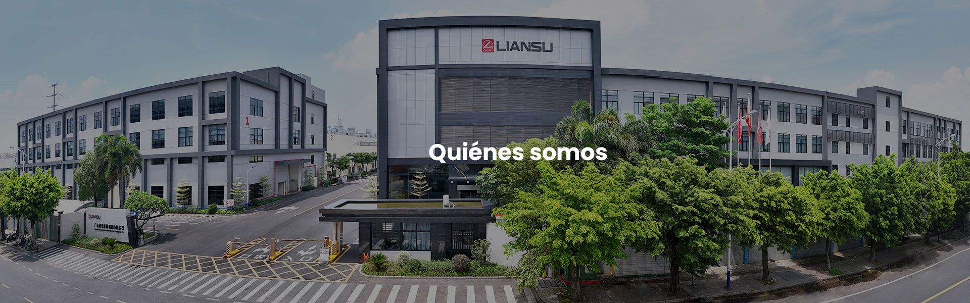 LIANSU se estableci&oacute; en 1994, un fabricante de m&aacute;quinas de extrusi&oacute;n de pl&aacute;stico en I+D, fabricaci&oacute;n, ventas y servicio en China.
